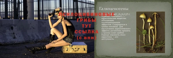 сатива Алексин
