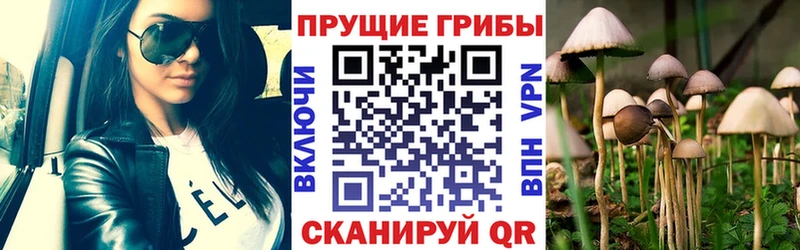 Галлюциногенные грибы GOLDEN TEACHER  сайты даркнета формула  Махачкала  дарнет шоп 
